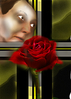 Filename=ROS.jpg
Filesize=146KB
Dimensions=408x567
Date added=Jul 11, 2006 ROS.jpg