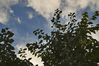 Filename=himmel2.jpg
Filesize=200KB
Dimensions=567x377
Date added=Sep 04, 2006 himmel2.jpg